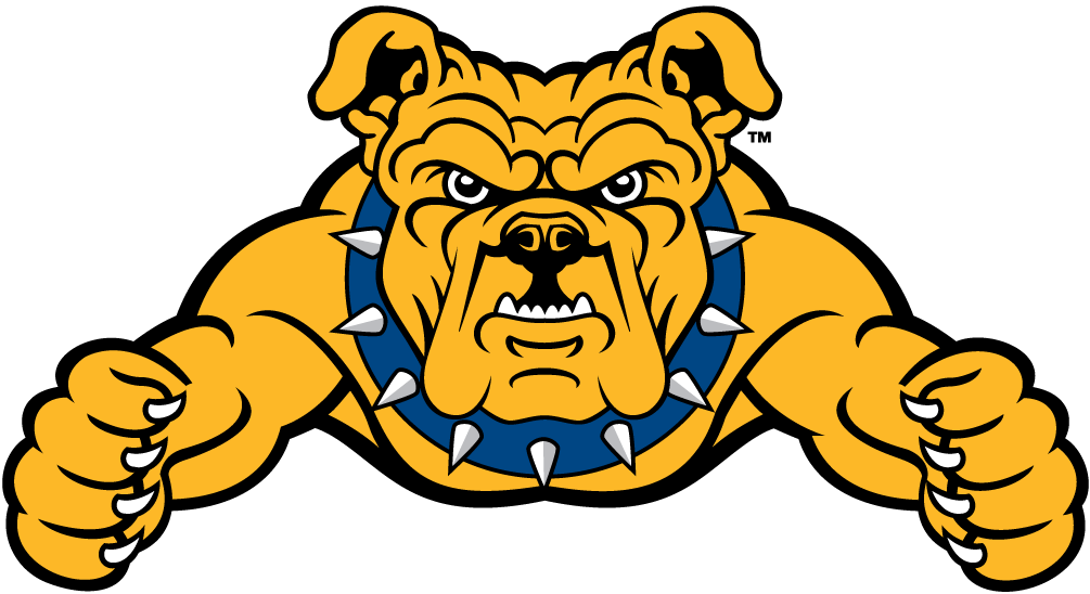 North Carolina A&T Aggies 2006-Pres Partial Logo diy iron on heat transfer